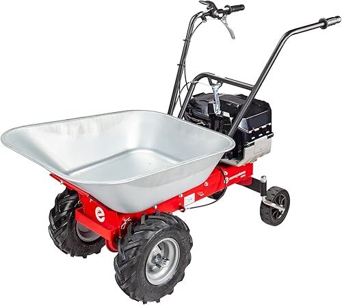 Eurosystems Carry 450 E-Series Benzin-Motorschubkarre – 100 kg / 85 l